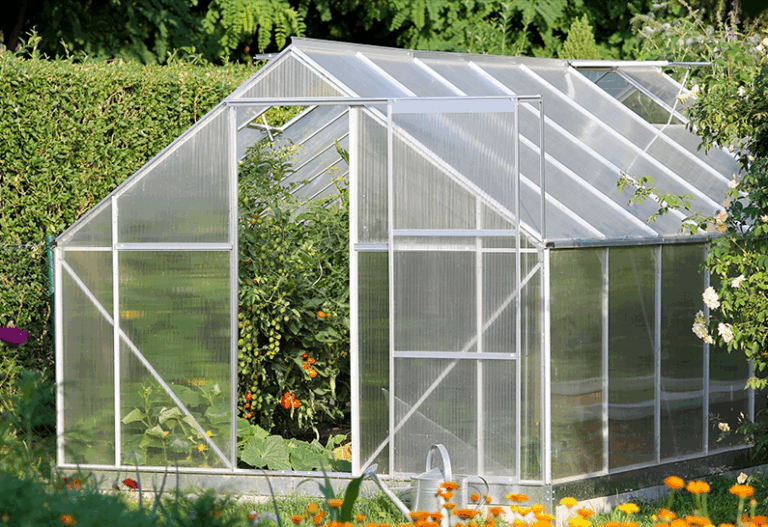 SUNLITE® Doppelstegplatte 6mm, klar für Gewächshaus